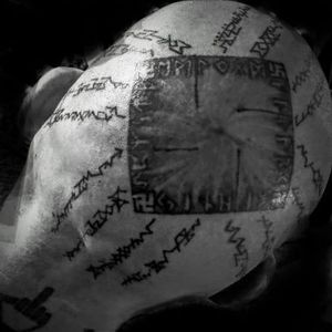 Meet your Posher, Jackson